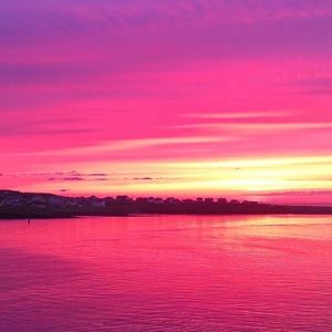 Meet your Posher, Benjamin