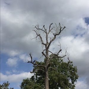 Meet your Posher, Dalia