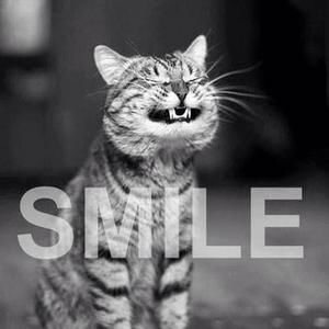 Meet your Posher, Abbie