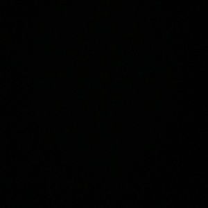 Meet your Posher, Jacqueline