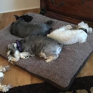 Meet your Posher, Heather