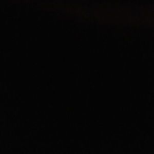 Meet your Posher, Malia