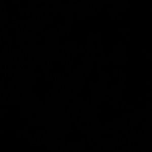 Meet your Posher, Lex