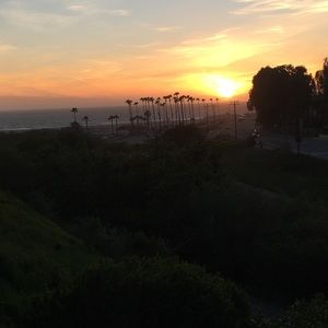 Meet your Posher, Alli