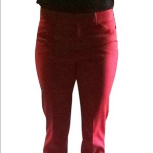 Express Editor dress pants