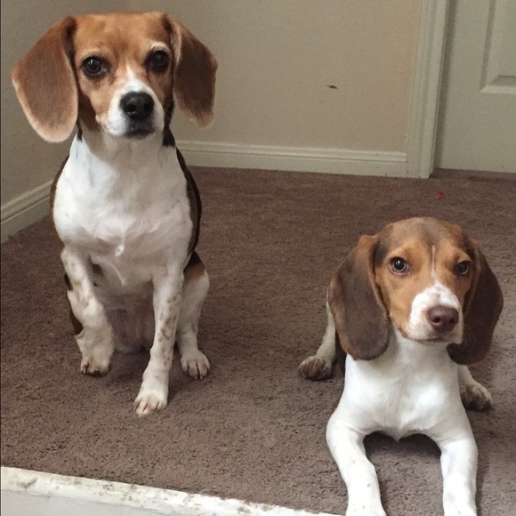 Meet your Posher, Suomi - Picture 2 of 2