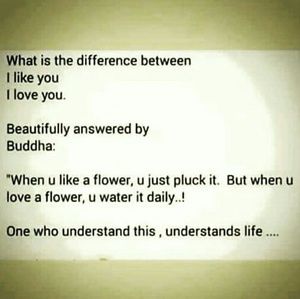 Meet your Posher, Kisha