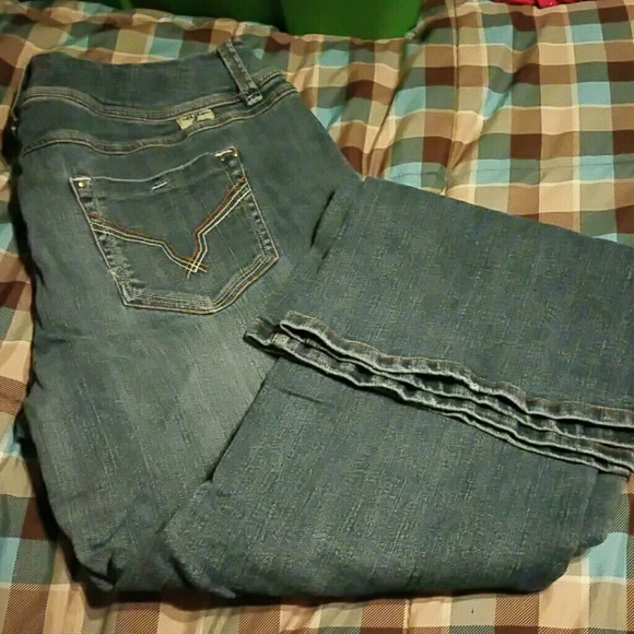 Tyte Jeans Plus Size 20