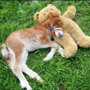 Meet your Posher, Marie