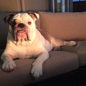 Meet your Posher, Christine