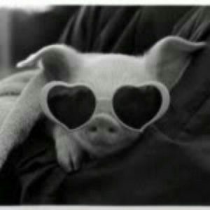 Meet your Posher, Kristina