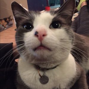 Meet your Posher, Julia