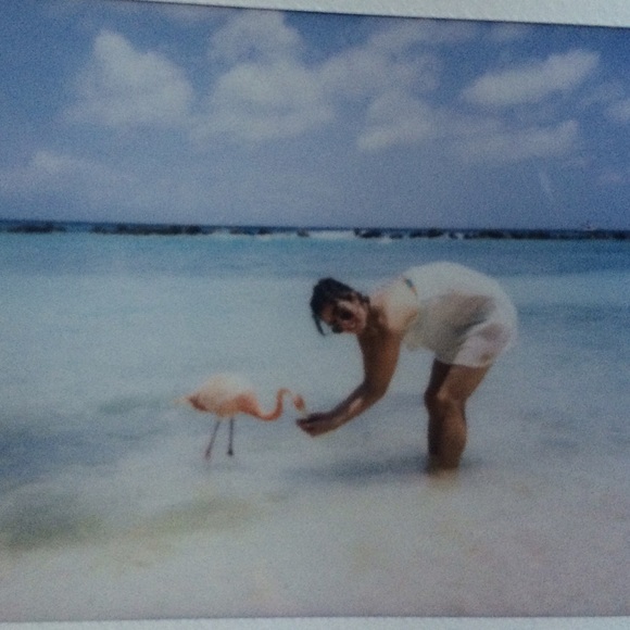 Meet your Posher, Dawn - Picture 3 of 4