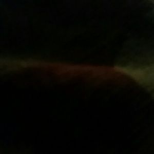 Meet your Posher, Mallory