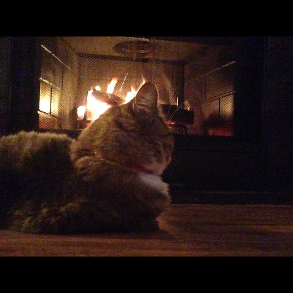 Meet your Posher, Mackenzie