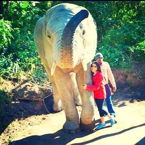 Meet your Posher, Atalie