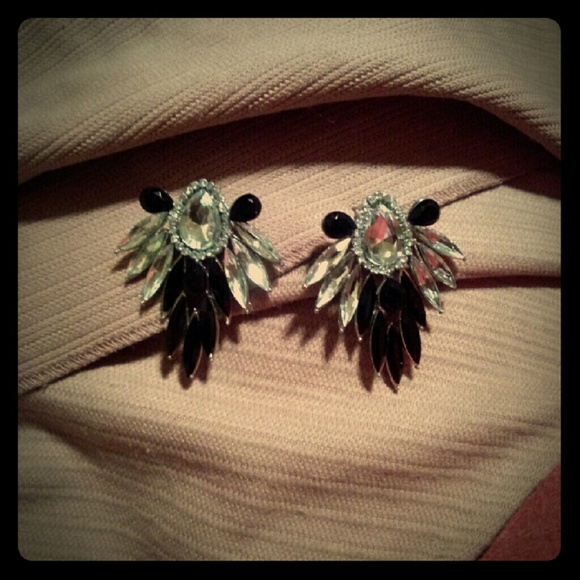 Black and Silver Earrings