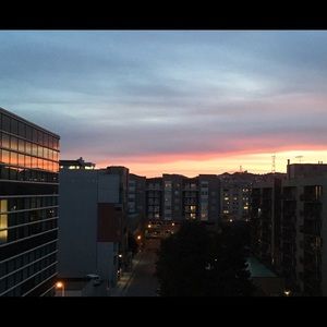 Meet your Posher, Sam