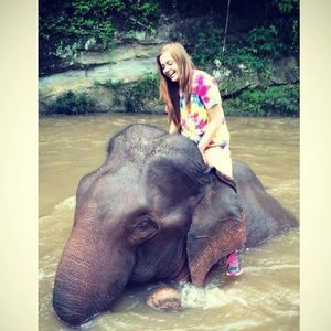 Meet your Posher, Holly