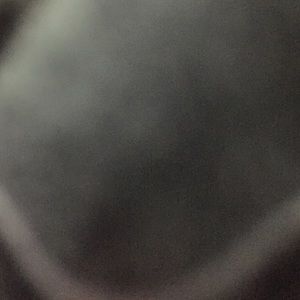 Meet your Posher, Zoey