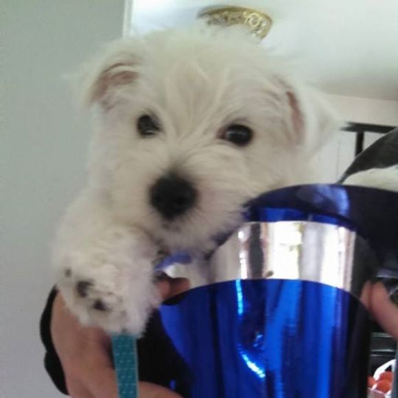 Meet your Posher, Mary