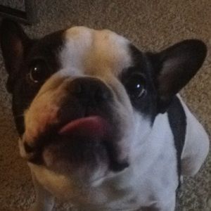 Meet your Posher, Jordan