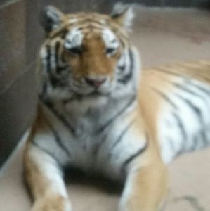 Meet your Posher, Bill