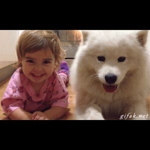 Meet your Posher, Bruce