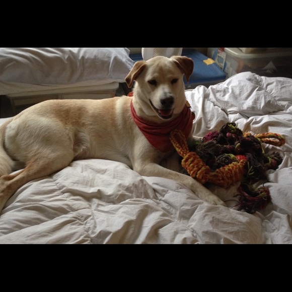 Things I Love...(images are copyrighted) - Picture 4 of 4