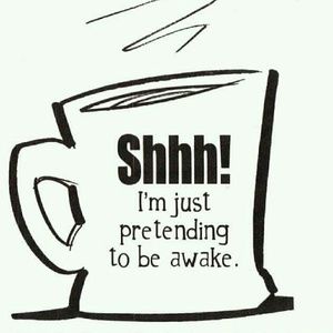 Meet your Posher, Naomi