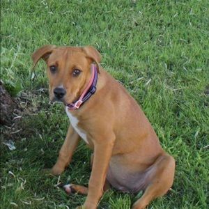 Meet your Posher, Cali