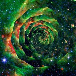 Meet your Posher, Gabrielle