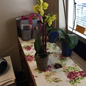 Meet your Posher, Robin