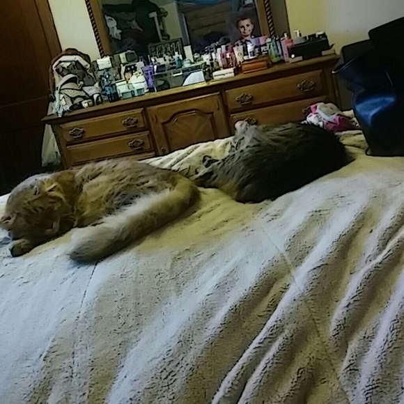 Meet your Posher, Teresa