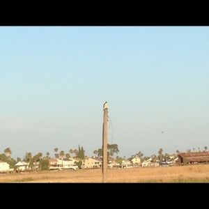 Meet your Posher, Simonelli