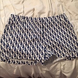 Jcrew navy and white seahorse shorts