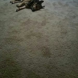 Meet your Posher, Measha