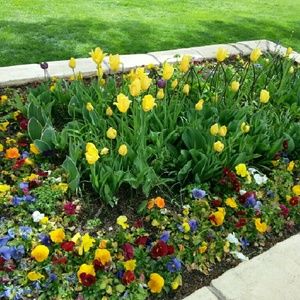 Meet your Posher, Karla