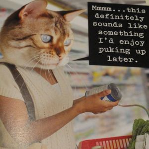 Meet your Posher, Donna