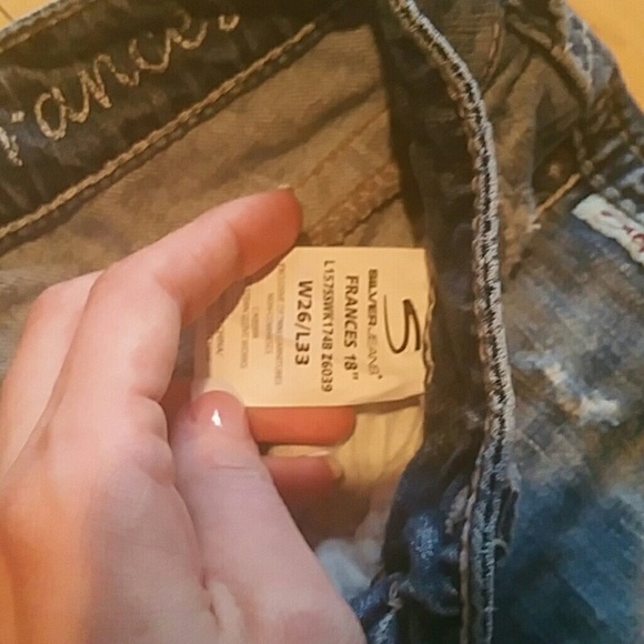 Silvers - Picture 3 of 4