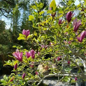 Meet your Posher, Tania