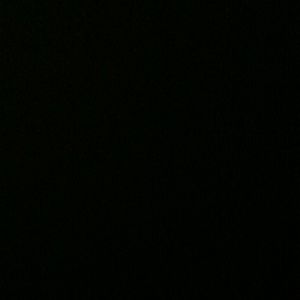 Meet your Posher, Whitney