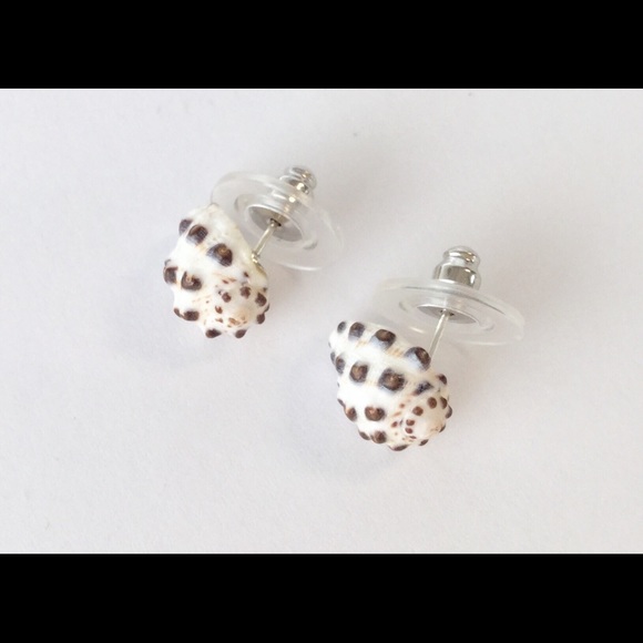 Genuine Hawaii Sea Shell Earrings