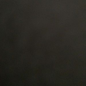 Meet your Posher, Rayna