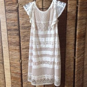 BCBG Dress white lace with nude built in slip