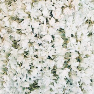 Hunt Alert! 🚨❤️