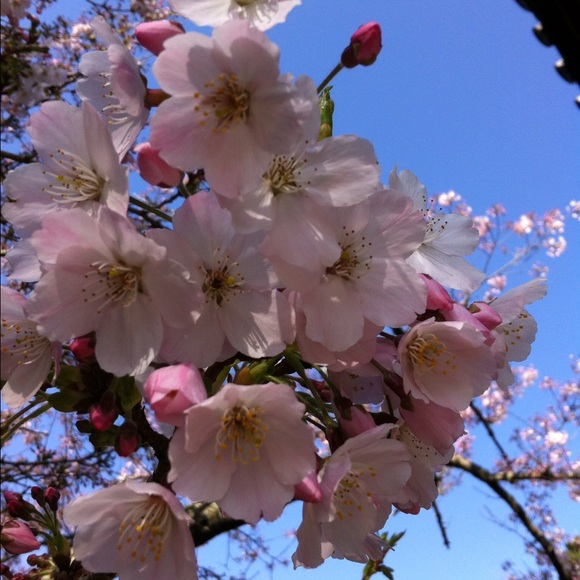 Meet your Posher, Lynn