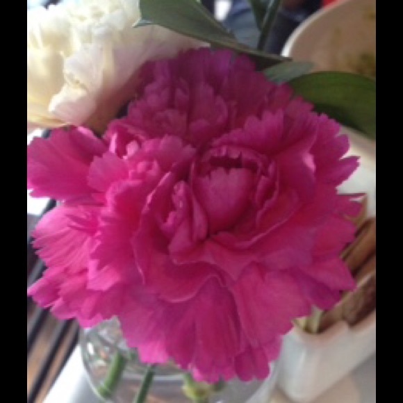 Meet your Posher, Devon