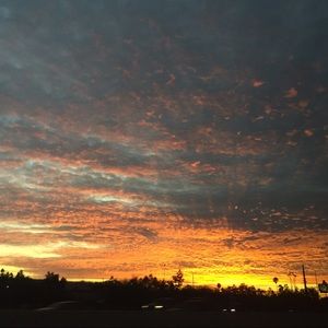 Meet your Posher, Elena