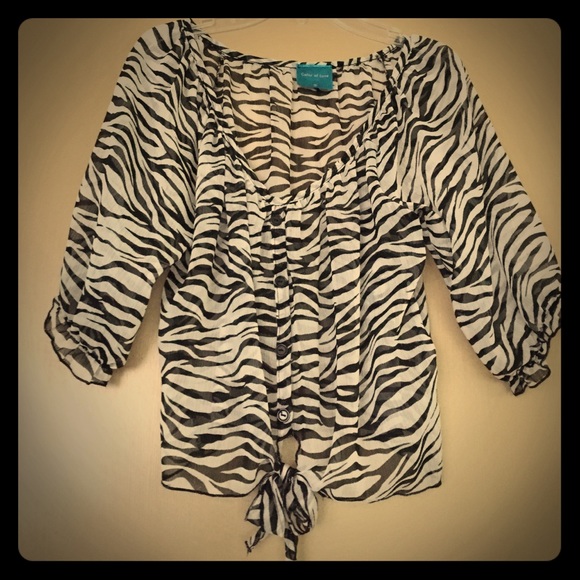Zebra Blouse - image 1
